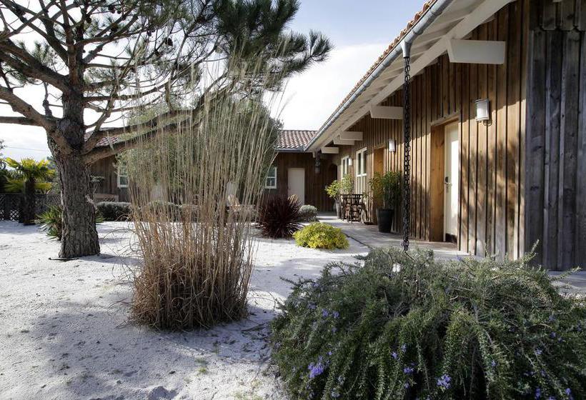 Hotel Des Dunes  | Cap Ferret | Gironde | France