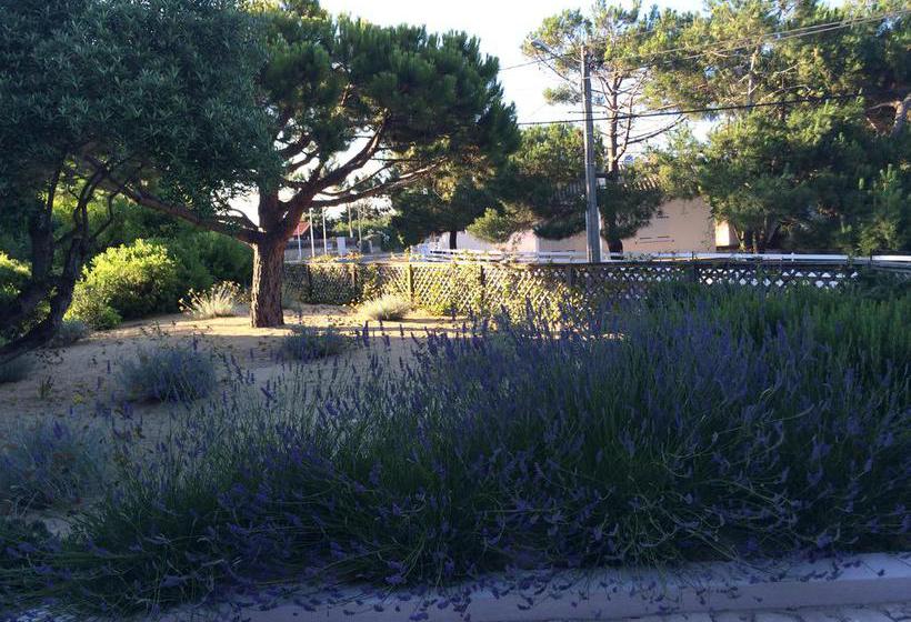 Hotel Des Dunes  | Cap Ferret | Gironde | France 20