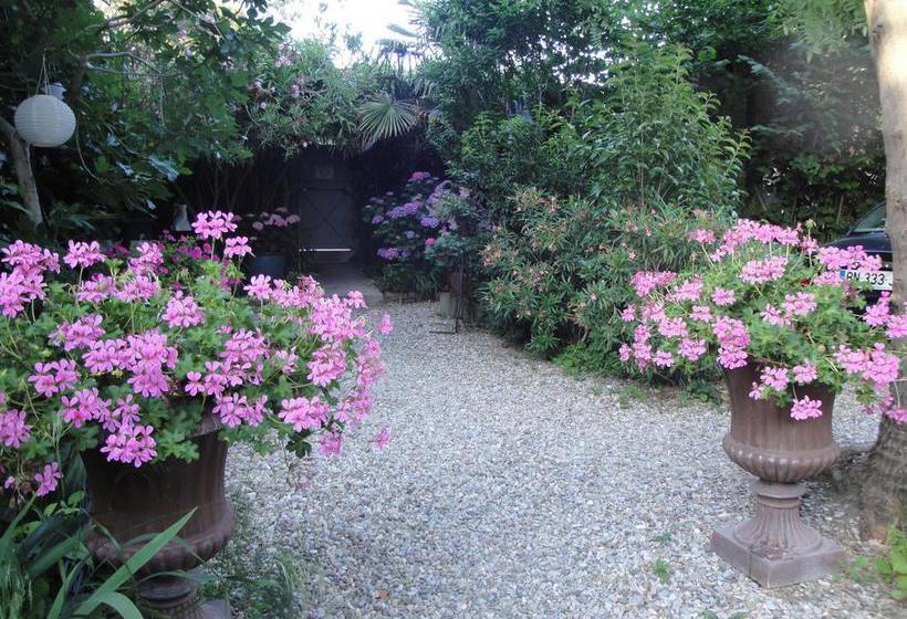 Bed and Breakfast La Villacarcassonne  | Carcassonne | Aude | France 17
