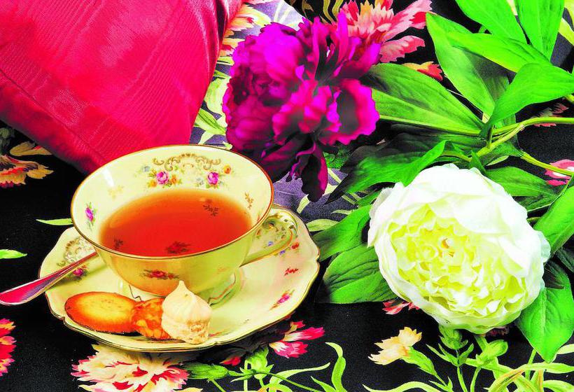 Hôtel Santa Lucia  | Saint Raphael | Var | France 19