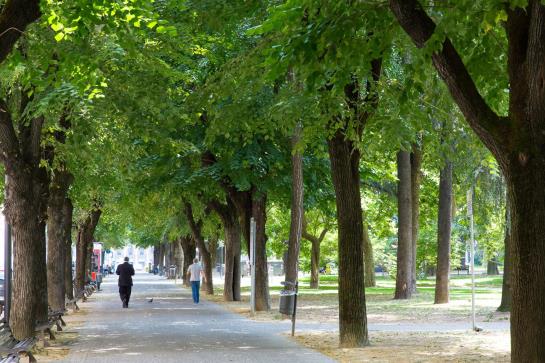 Hotel Londra  | Alessandria | Alessandria | Italy 19