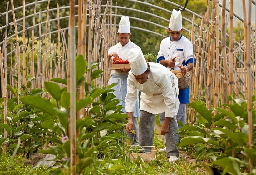 Hotel San Giorgio Terme  | Barano d'Ischia | Napoli | Italia 8