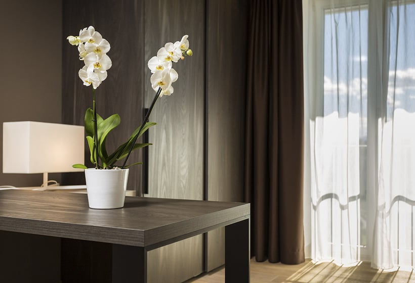 Hotel Astor Belluno  | Belluno | Belluno | Italia 4