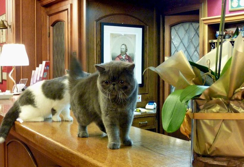 Hotel Citta dei Mille  | Bergamo | Bergamo | Italia 13