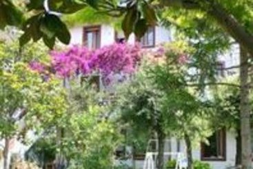 Hotel Mare Blu  | Francavilla al Mare | Chieti | Italia 4