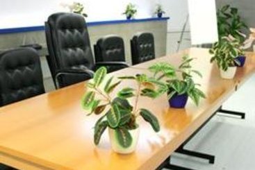 Hotel Mare Blu  | Francavilla al Mare | Chieti | Italia 5