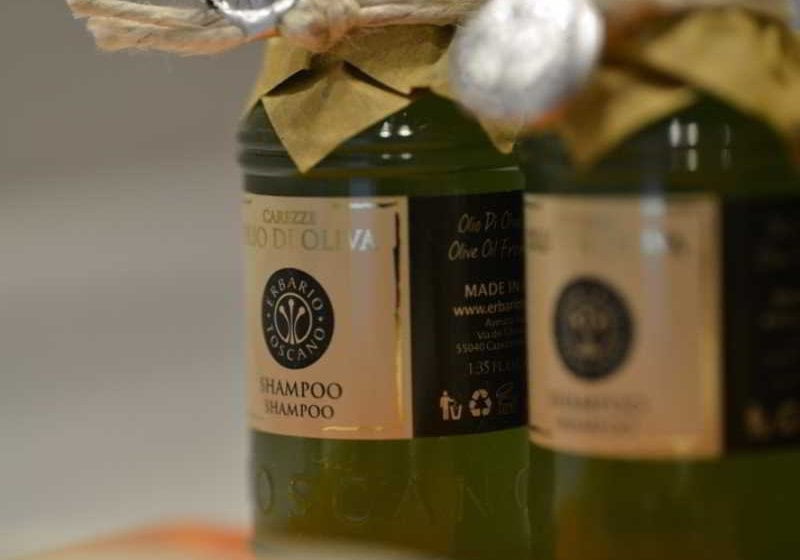 Hotel Albergo Celide  | Lucca | Lucca | Italy 14