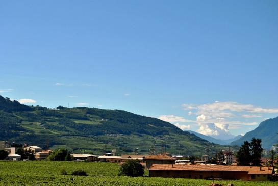 Hotel Drago  | Mezzocorona | Trento | Itália 2