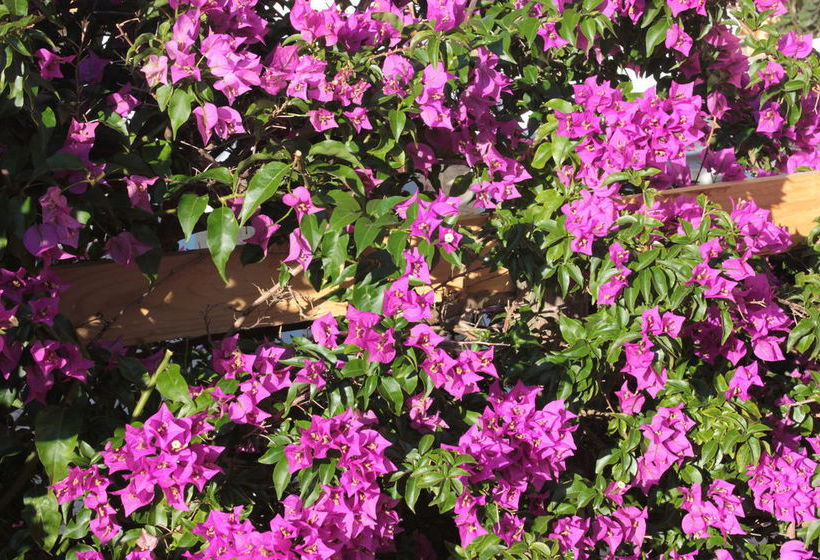 VOI Alimini Resort  | Otranto | Lecce | Italia 12