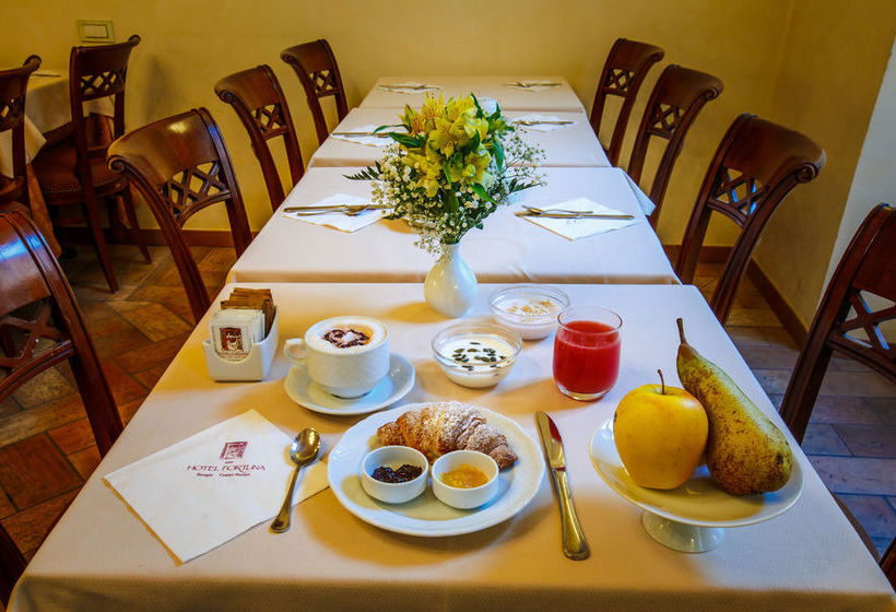 Hotel Fortuna  | Perugia | Perugia | Italia 11