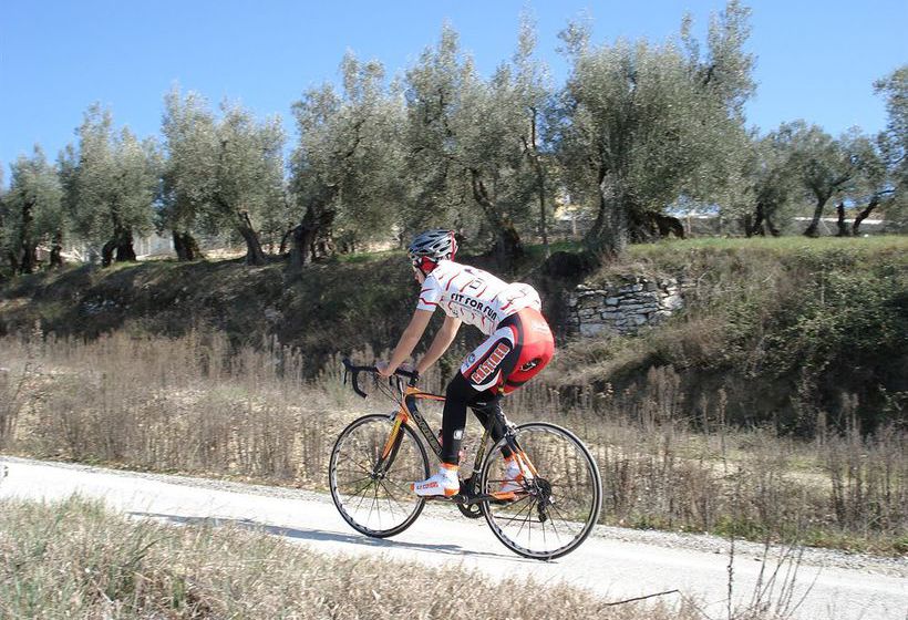 Hotel Vega  | Perugia | Perugia | Italia 4