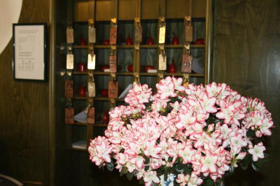 Hotel Ariston  | Piombino | Livorno | Italia 2