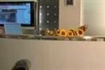 Hôtel Genty  | Rimini | Rimini | Italie 2