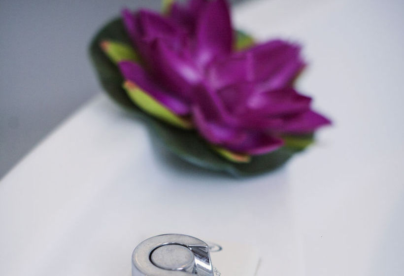 Hotel Levante  | Rimini | Rimini | Italia 5