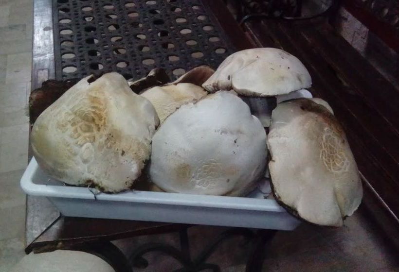 Hotel Holidays  | Roccaraso | L'Aquila | Italien 2