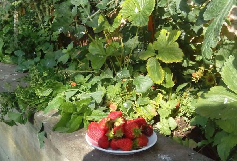 Hotel Holidays  | Roccaraso | L'Aquila | Italien 3