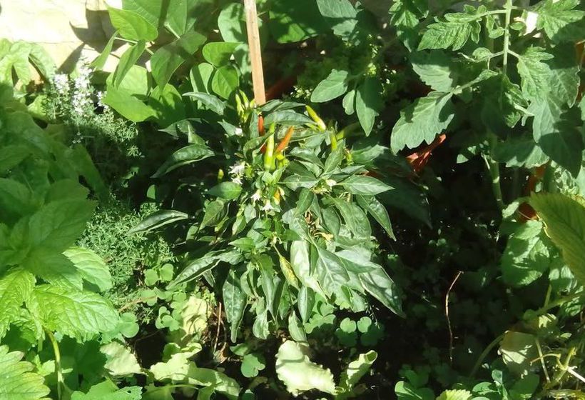 Hotel Holidays  | Roccaraso | L'Aquila | Italien 4