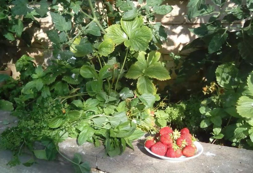 Hotel Holidays  | Roccaraso | L'Aquila | Italien 5