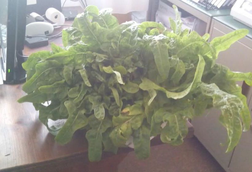 Hotel Holidays  | Roccaraso | L'Aquila | Italien 8