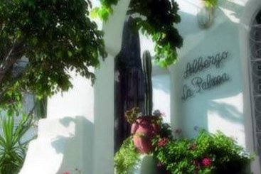 Hotel La Palma  | Ischia | Napoli | Italia 7