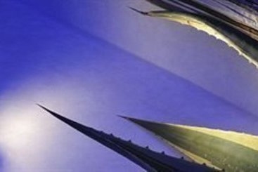 Hotel Mare  | Savona | Savona | Italia 9