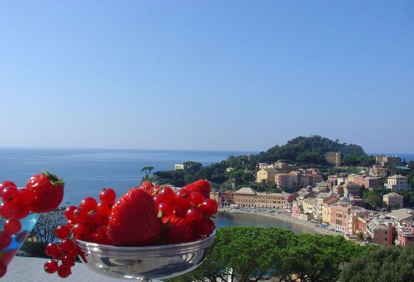 Hotel Vis a Vis  | Sestri Levante | Genova | Italia 5