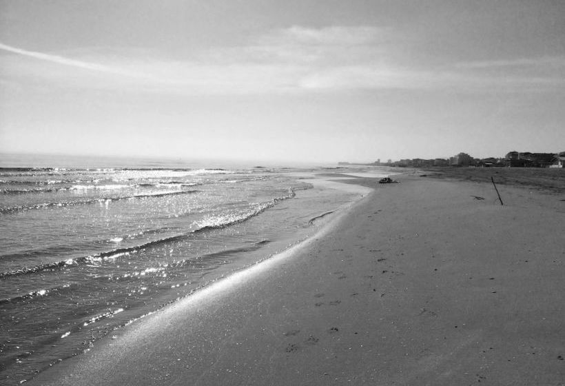 Hotel Florida  | Silvi Marina | Teramo | Italia 9