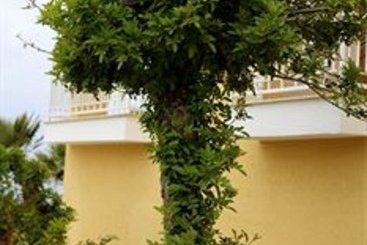 Hotel Perla del Golfo  | Terrasini | Palermo | Italia 14