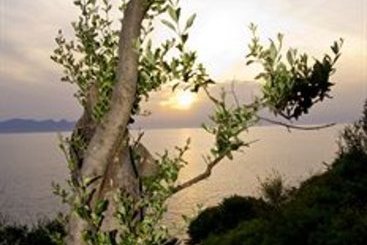 Hotel Perla del Golfo  | Terrasini | Palermo | Italia 9