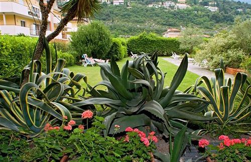 Hotel Holiday Surf  | Nago Torbole | Trento | Italia 20