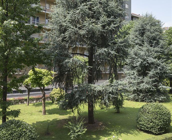 Hotel Cristallo  | Torino | Torino | Italia 5