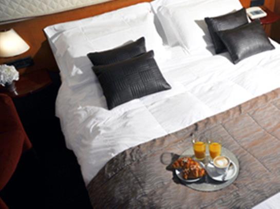 Hotel Giotto  | Torino | Torino | Italia 6