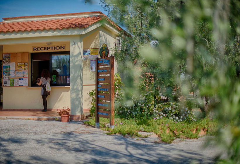 Hotel Palme Gemelle  | Vieste | Foggia | Italia 1