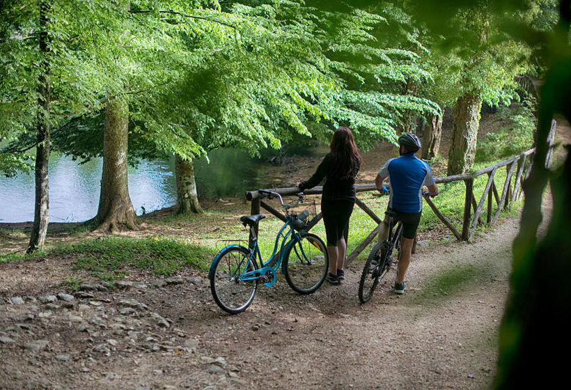 Hotel Palme Gemelle  | Vieste | Foggia | Italia 11