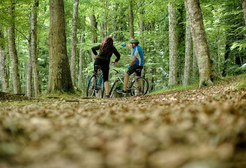 Hotel Palme Gemelle  | Vieste | Foggia | Italia 4