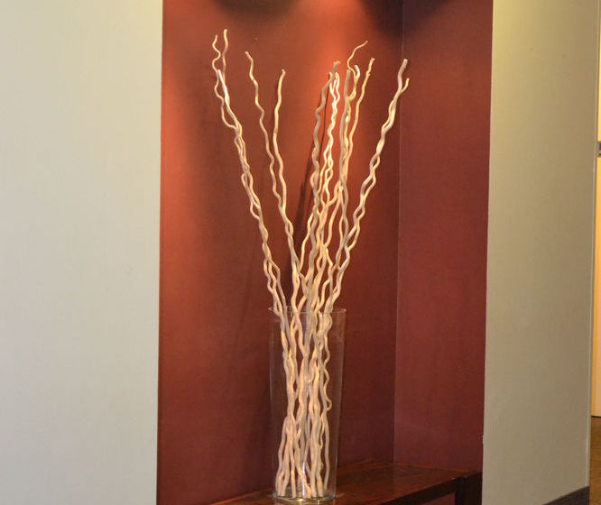 Hotel Princess  | Roma | Roma | Italia 17