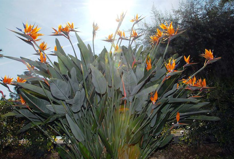 Hotel Paradiso  | Sanremo | Imperia | Italia 15