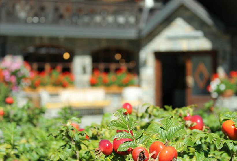 Hotel Del Viale  | Courmayeur | Aosta | Italia 2