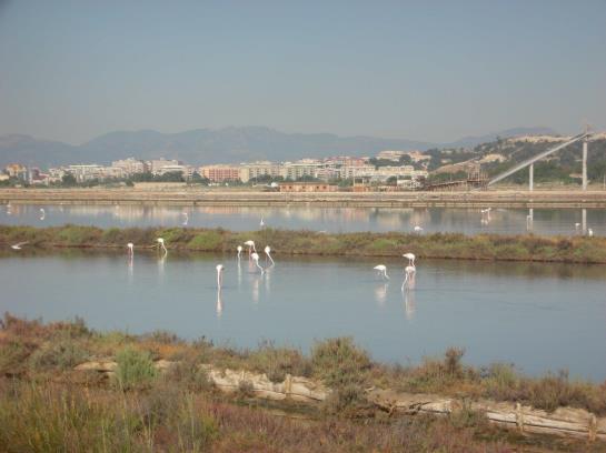 Hotel Panorama  | Cagliari | Sardegna | Italia 12