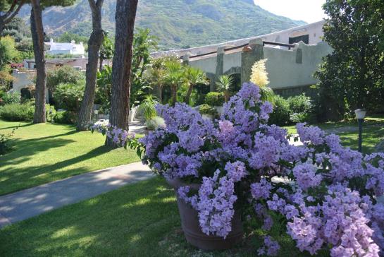 Hotel Paradiso Terme Resort & Spa  | Forio d'Ischia | Napoli | Italia 4