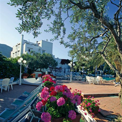 Parco San Marco Hotel  | Forio d'Ischia | Napoli | Italia 15