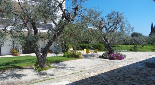 Residence Poggio Delle Ginestre  | Noicattaro | Bari | Italia 16
