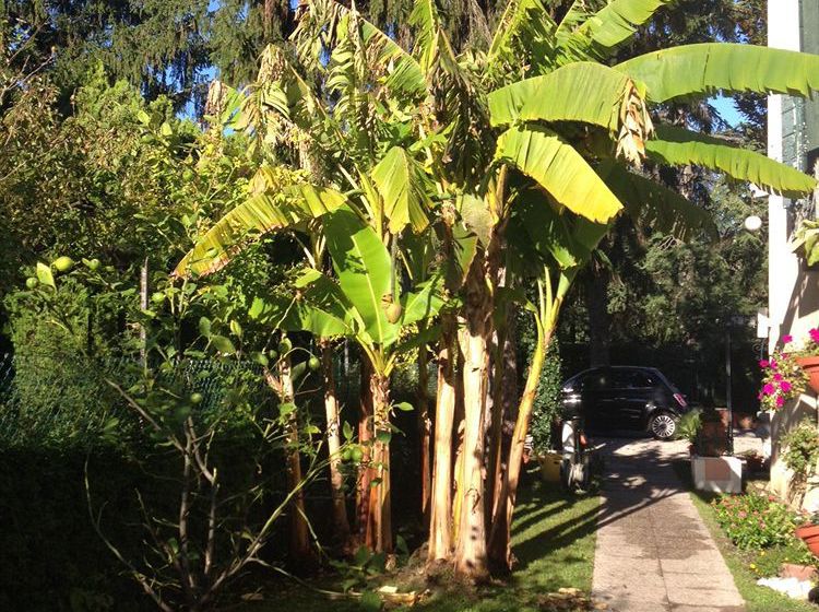 Hotel Villa Stella  | Lido di Venezia | Venezia | Italia 15