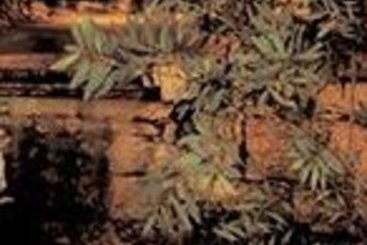 Hotel Villa Delle Rose  | Arco | Trento | Italia 11