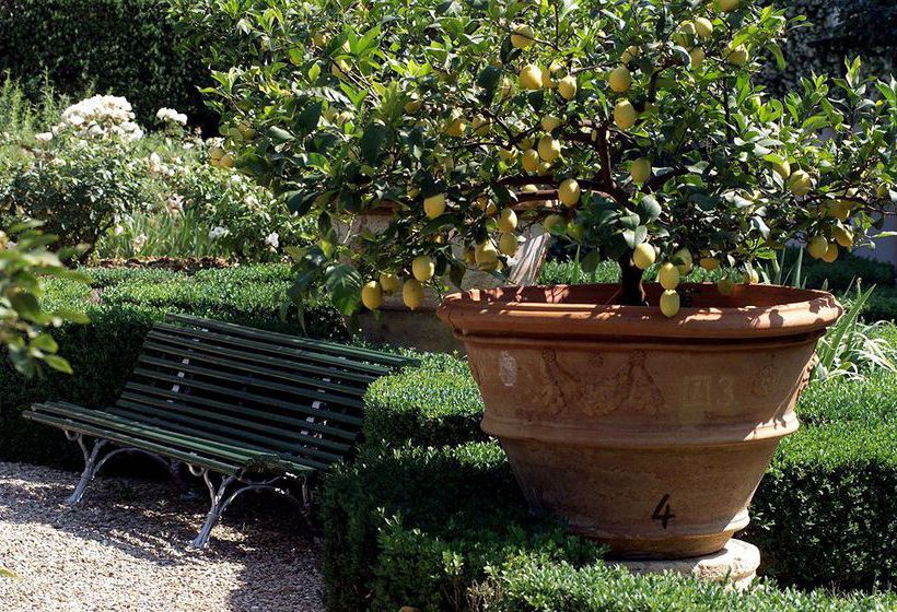 Hotel Villa Scacciapensieri