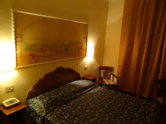 Hotel Airone  | Florencia | Florencia | Italia 14