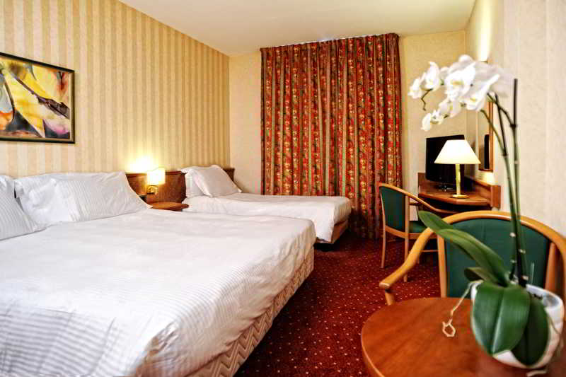 Hotel Meditur Pomezia   | Pomezia | Roma | Italia 3