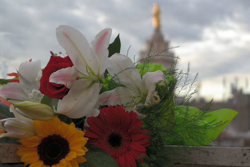 Hotel Archimede  | Roma | Roma | Italia 9