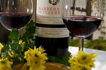 Hotel Azalea  | Turin | Turin | Italy 2