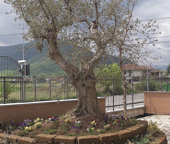 Hotel San Giorgio  | Sangano | Torino | Italia 14